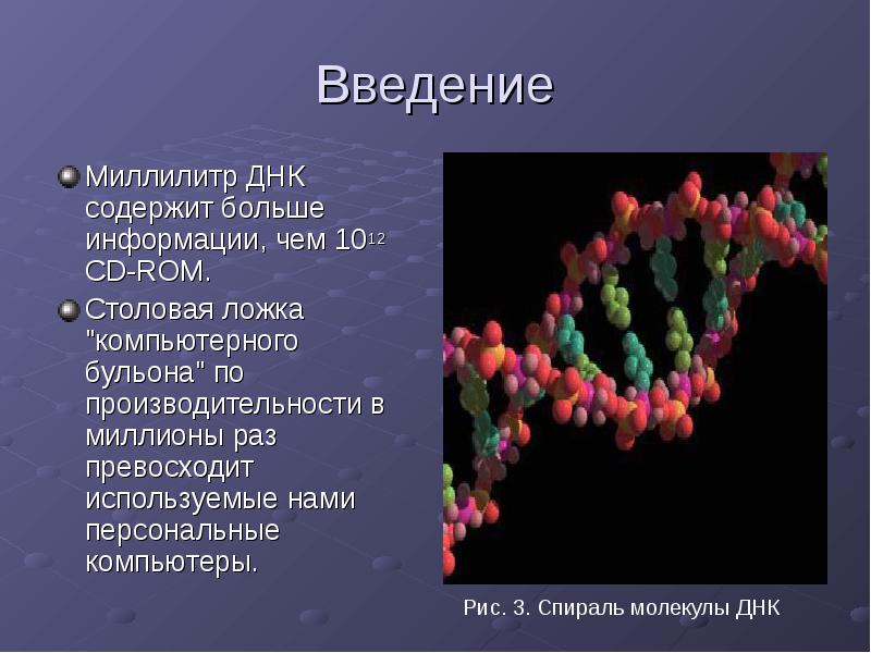 Днк содержит информацию о белках