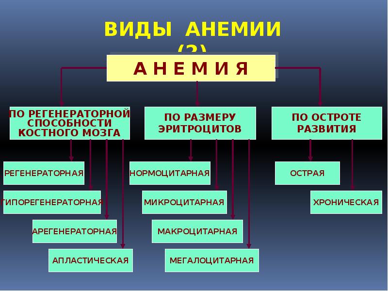 Клиническая картина анемий