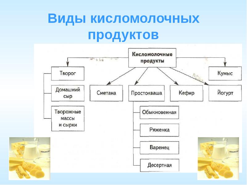 Доклад кисломолочные продукты в каком какие