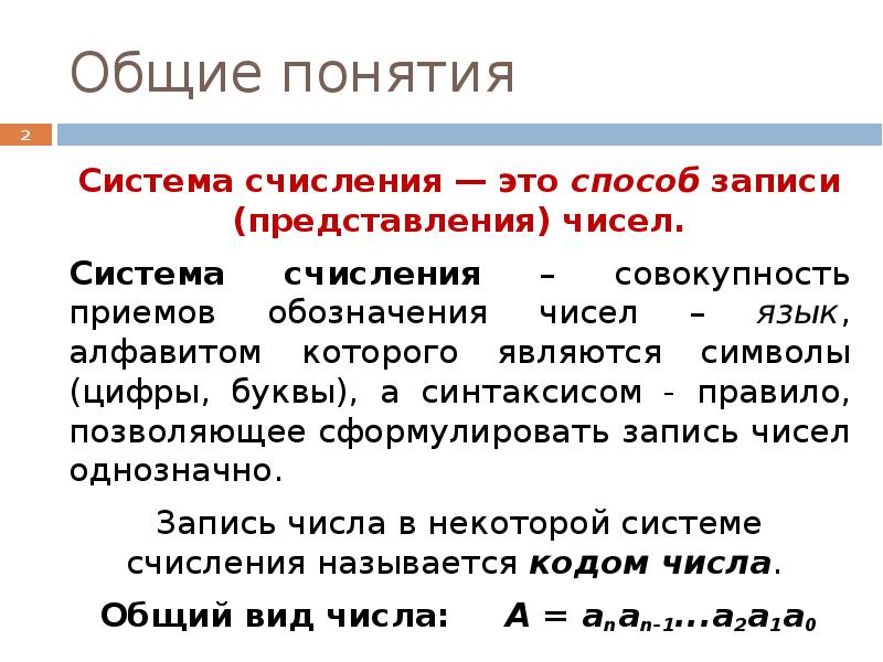 Записи общая