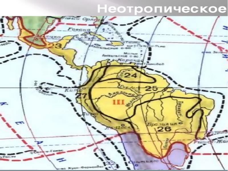 Неотропическое царство презентация