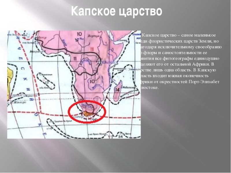 Австралийское царство презентация