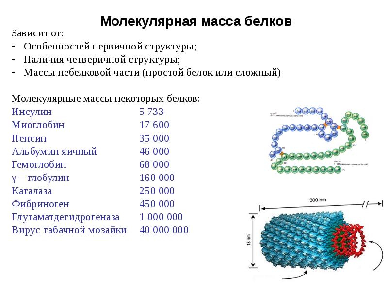 Молекула массой 5. Методы определения массы белка. Метод определения молекулярной массы белков. Молекулярные массы белков таблица. Методы определения молекулярного веса белка.