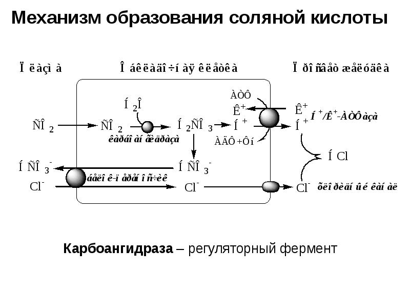 Схема образования соляной кислоты