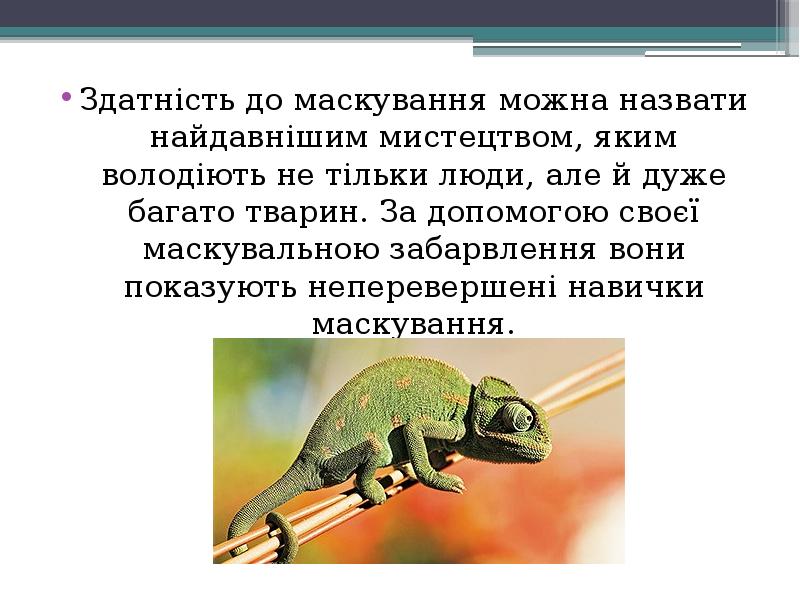 Здатність до маскування можна назвати найдавнішим мистецтвом, яким володіють не тільки Здатність до маскування можна назвати найдавнішим мистецтвом, яким володіють не тільки