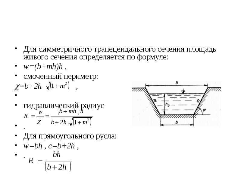 Смоченный периметр живого сечения