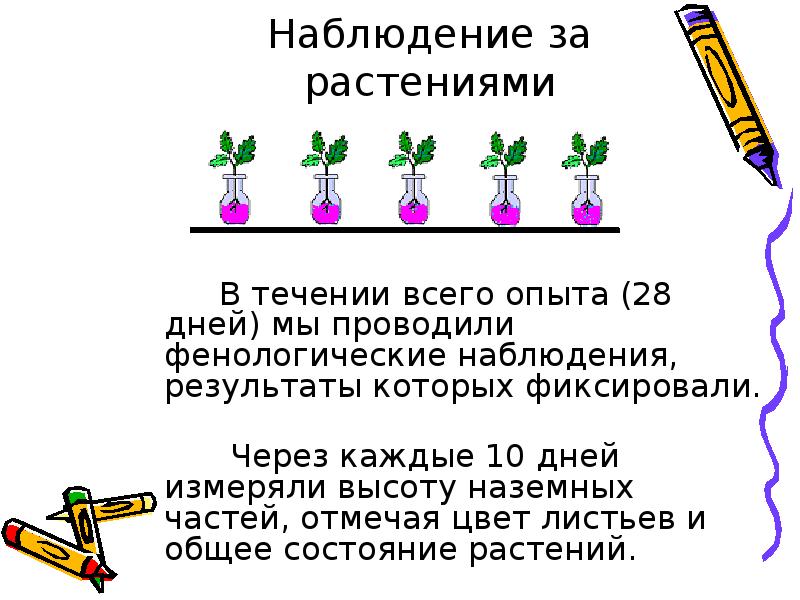 Наблюдение за растениями. Наблюдение за растением в течение дня сообщение. Вывод по наблюдению осенью за растениями. Наблюдение за растением формирование гипотезы.