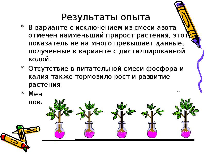 Придумайте и нарисуйте схему доказывающую что минеральное питание животных и человека зависит от