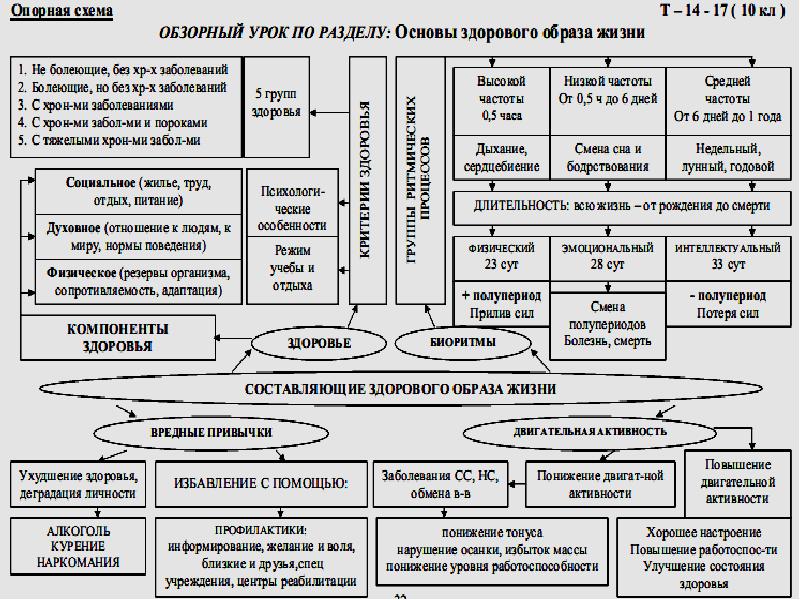 Основные составляющие здорового образа жизни схема