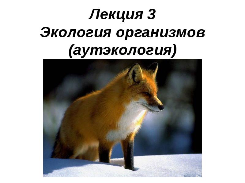 Лекция 3 Экология организмов (аутэкология)