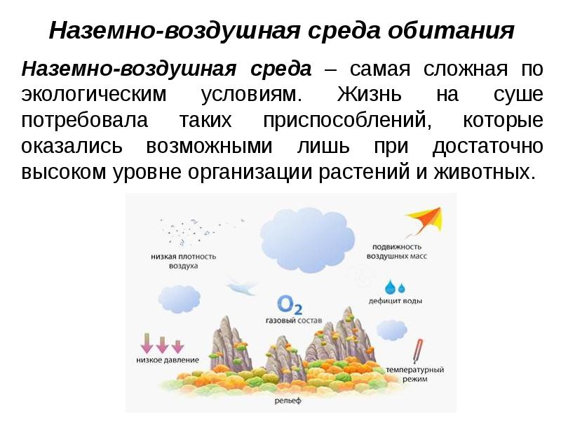 Наземно-воздушная среда обитания Наземно‑воздушная среда – самая сложная по экологическим условиям.