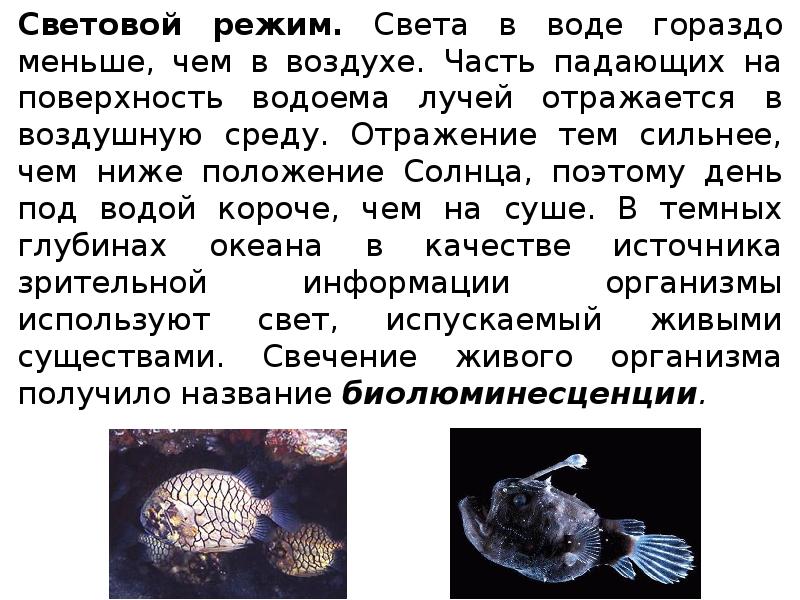 Световой режим. Света в воде гораздо меньше, чем в воздухе. Часть