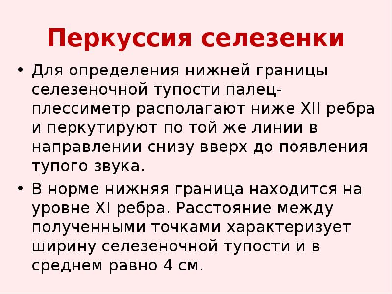 Селезенка перкуторно