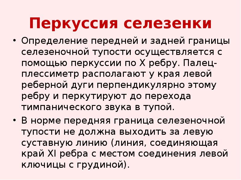 Селезенка перкуторно