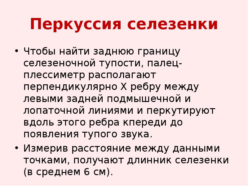 Селезенка перкуторно