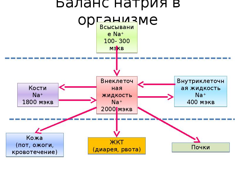 Водно электролитный баланс презентация