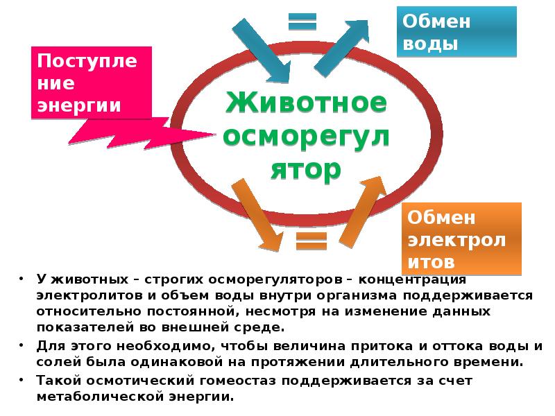 Диаграмма связей пособия таблица