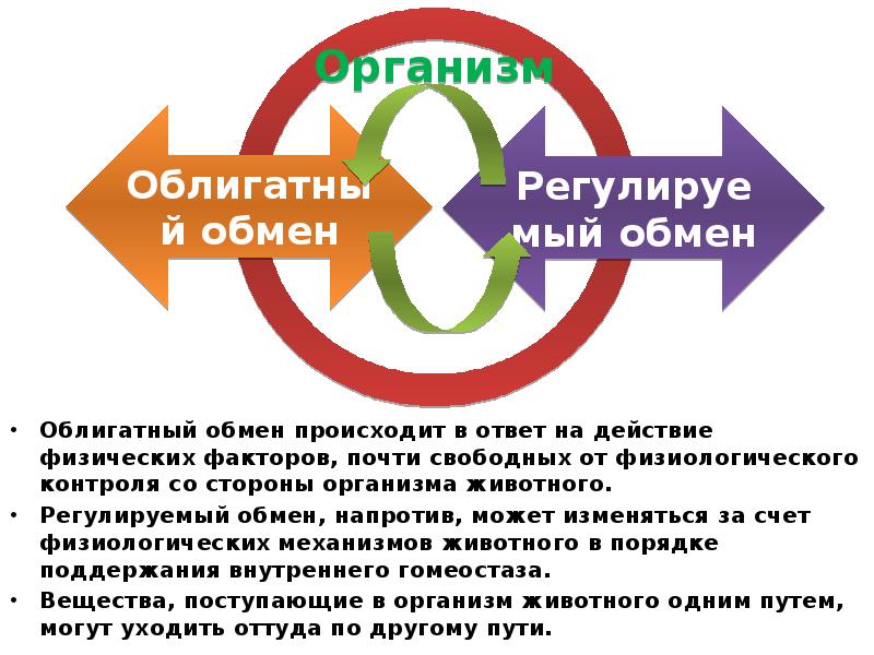 Обмен произошел. Электролитный гомеостаз. Водно-Электролитный гомеостаз. Обмен состоялся.