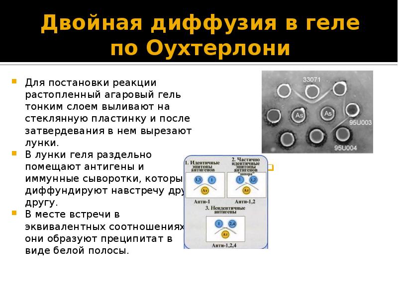 Радиальная иммунодиффузия по манчини презентация - 98 фото