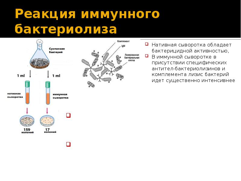 Иммунная реакция