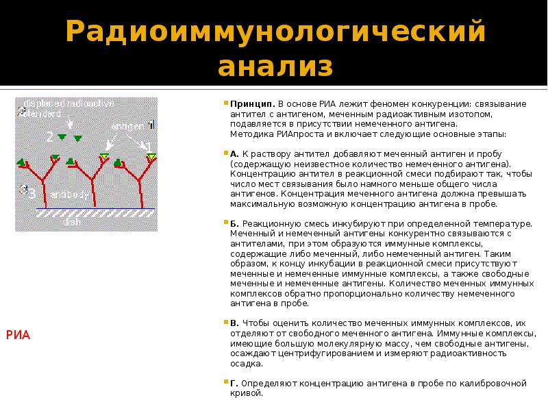 Исследование антигенов. Радиоиммунологический метод анализа. Реакция радиоиммунного анализа. Радиоиммунный анализ РИА принцип реакции. Радиоиммунный анализ принцип метода.