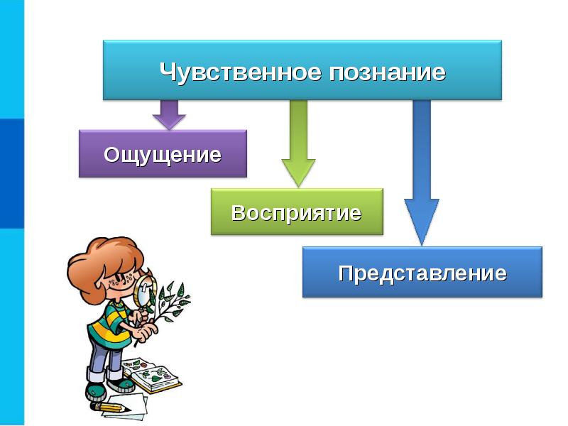 Темы презентаций 6 класс информатика