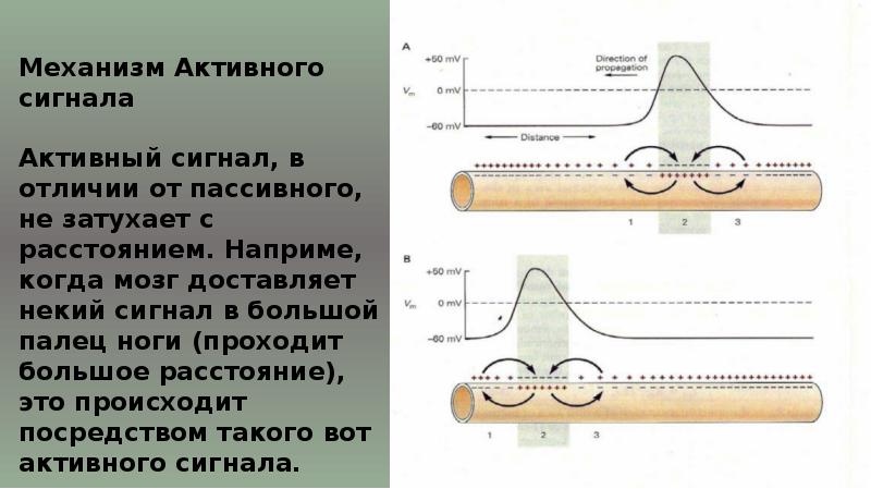 Активные и пассивные наушники в чем разница