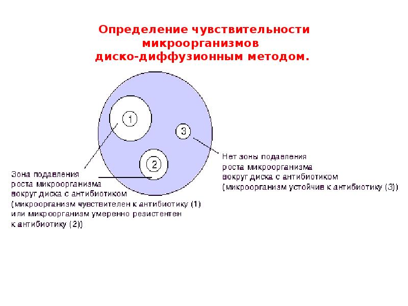 Определение чувствительности к антибиотикам. Метод определения чувствительности к антибиотикам метод дисков. Метод определения чувствительности микроорганизмов к антибиотикам. Метод определения чувствительности бактерий к антибиотикам. Чувствительность к антибиотикам диско-диффузионным методом.