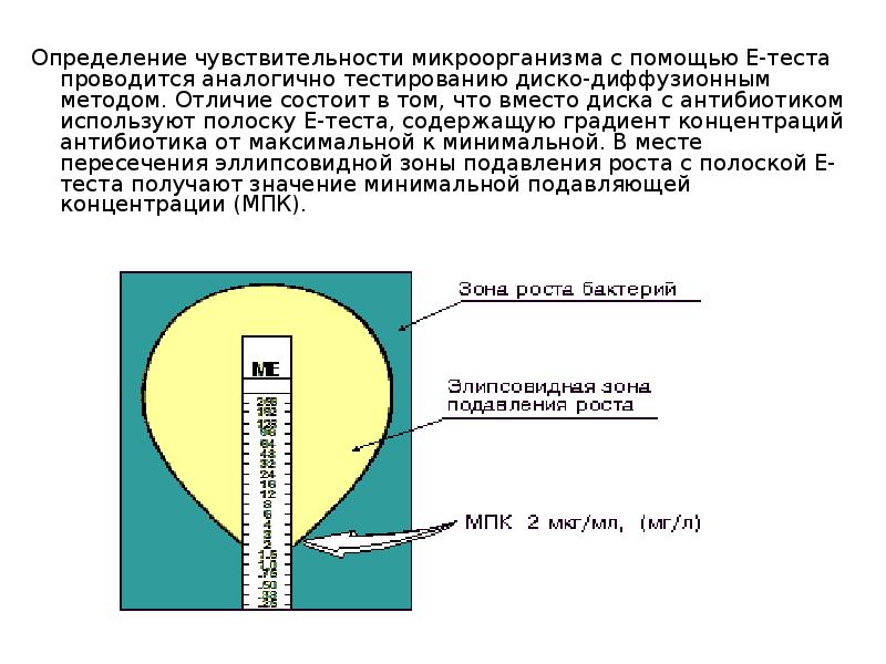 Определение чувствительности бактерий к антибактериальным препаратам презентация