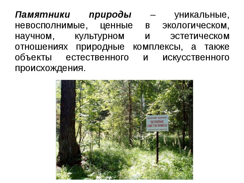 Определение природные. Памятники природы это определение. Экологические памятники природы. Памятник природы это кратко. Памятники природы это в экологии.