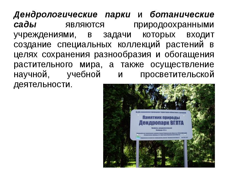 Правовой режим дендрологических и ботанических садов. Правовой режим дендрологических и ботанических садов. Цели и задачи ботанического сада. Дендрологические парки и ботанические сады задачи. Дендрологические парки и ботанические сады запрещается.