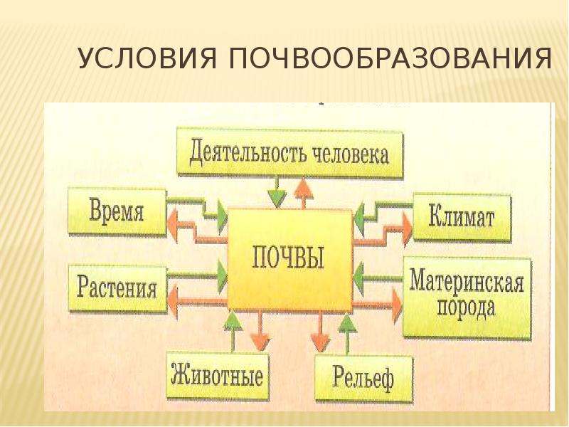 Презентация на тему факторы почвообразования