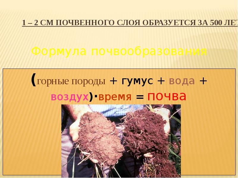 Особое природное. Формула почвообразования. Формула почвы. Гумус формула. Гумус образовался из горных пород.