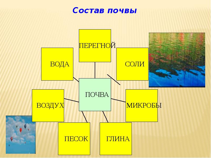 Из чего состоит почва