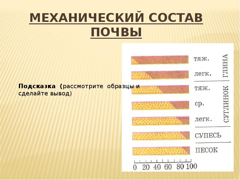 Определение механического состава почвы презентация