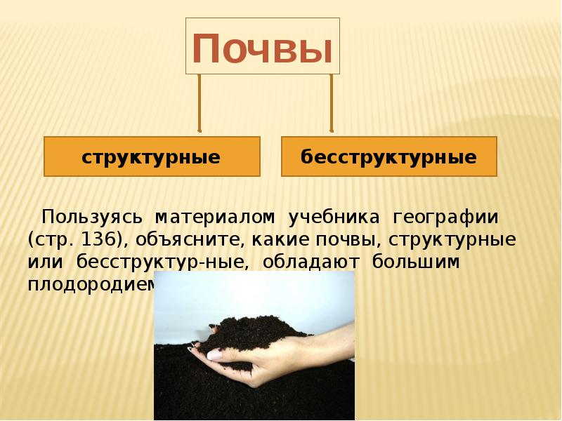 Почва как особое природное тело 6 класс презентация