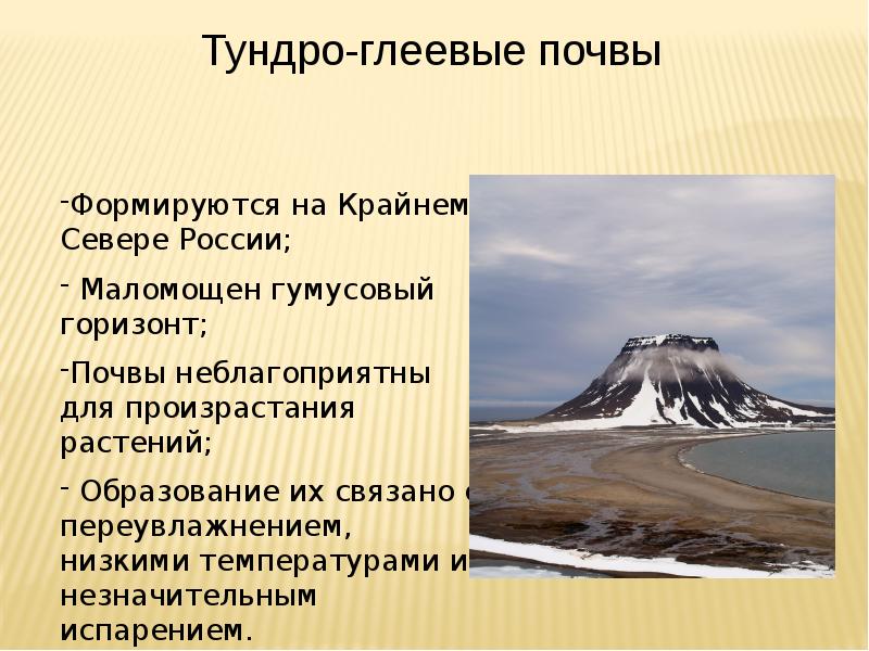 Презентация почва особое природное тело 8 класс алексеев