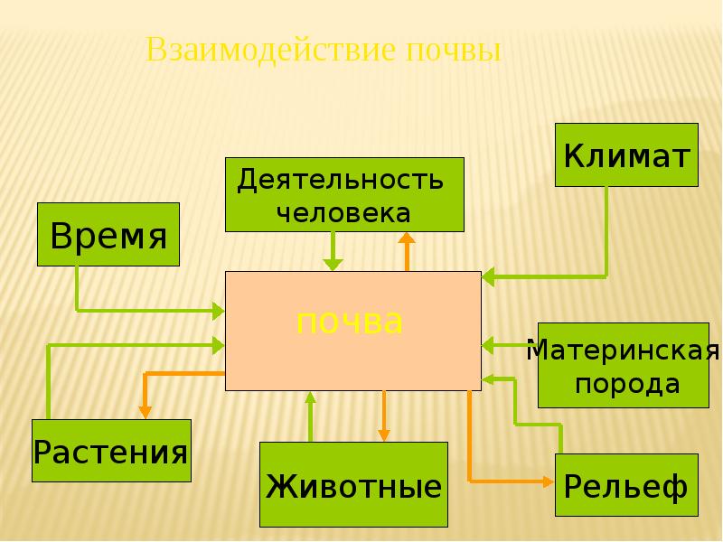 Деятельность человека почва