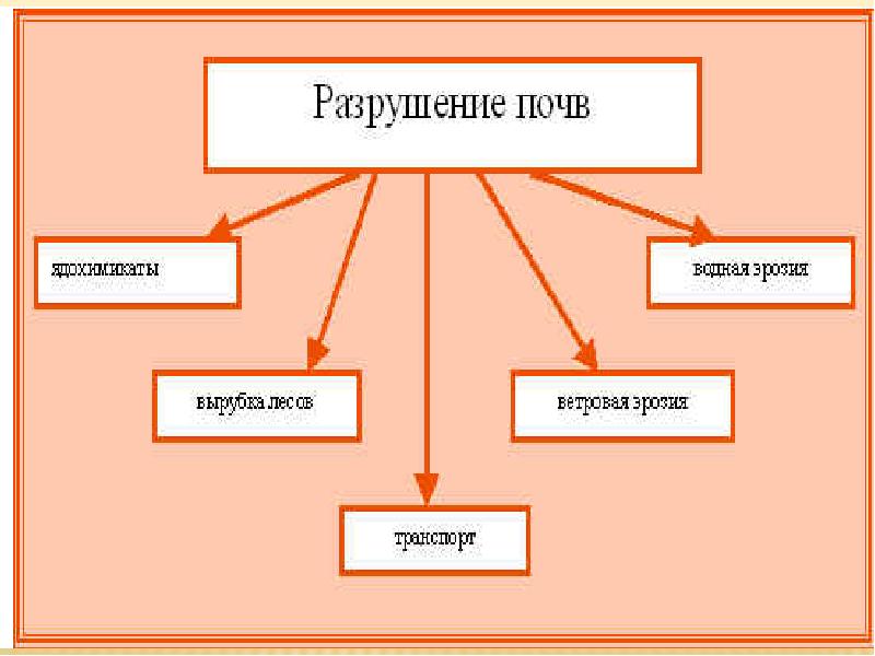 Почва особое природное тело презентация 5 класс