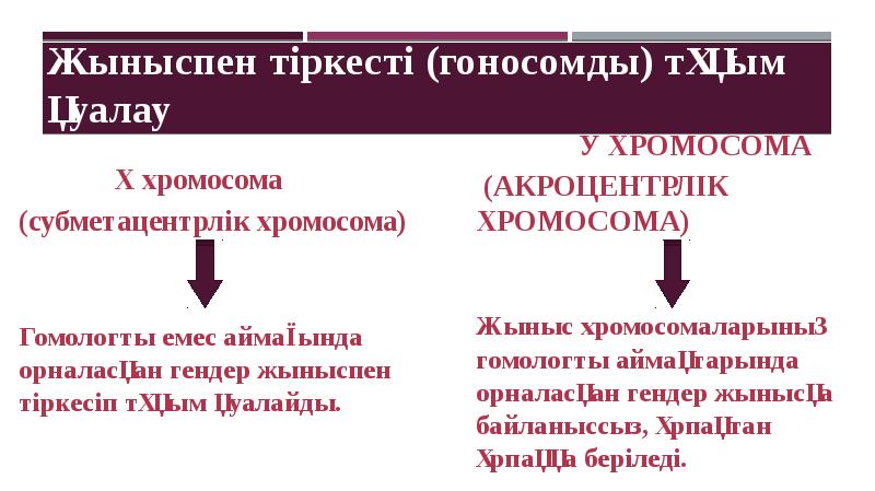 Жыныспен тіркесті (гоносомды) тұқым  қуалау     