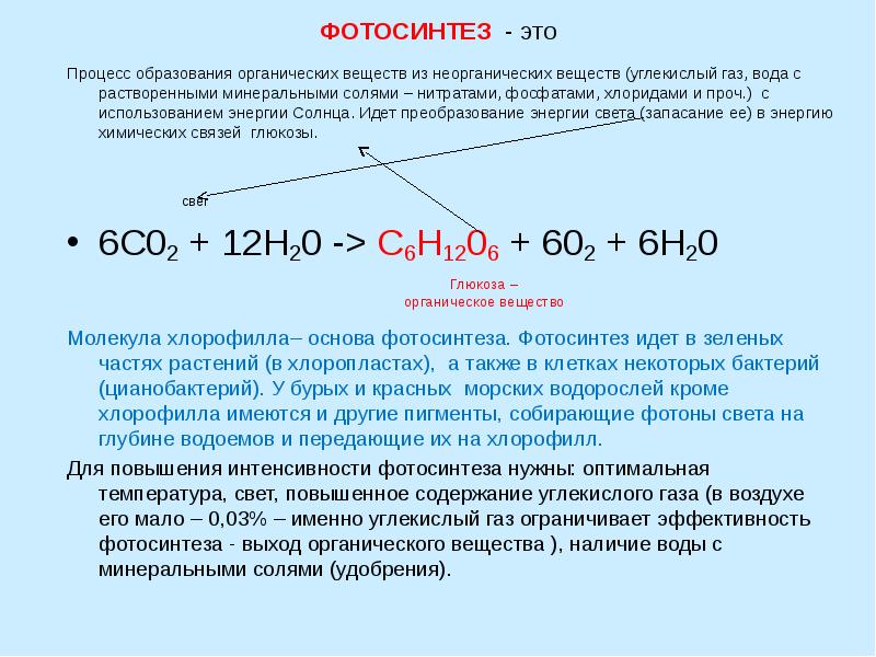 Углекислый газ в энергетическом обмене. Фотосинтез. Процесс образования органических веществ из неорганических. Преобразование энергии в органические соединения. Процесс создания органических веществ из неорганических.