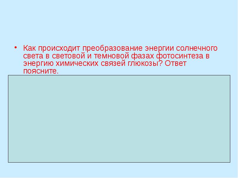 Как происходит преобразование энергии солнечного света в световой и темновой фазах