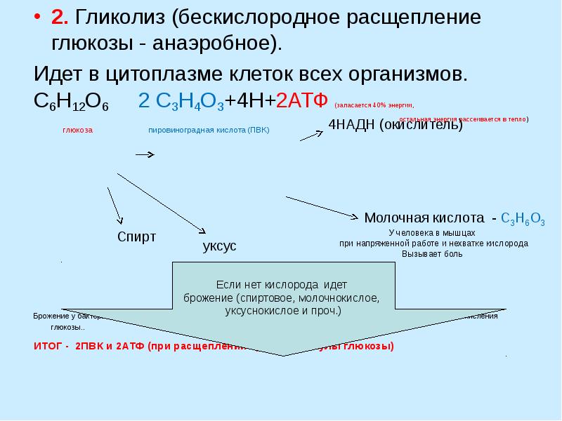 Привет! Нравится сидеть в Тик-Токе?