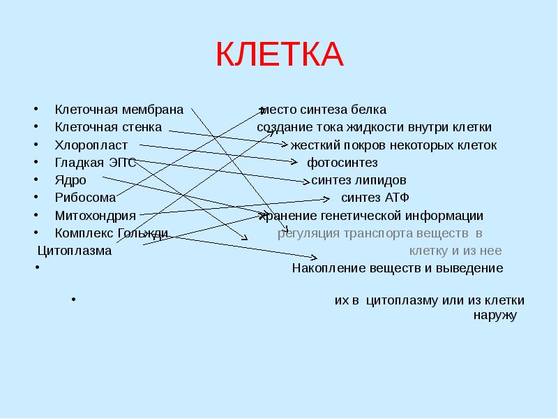 КЛЕТКА Клеточная мембрана        