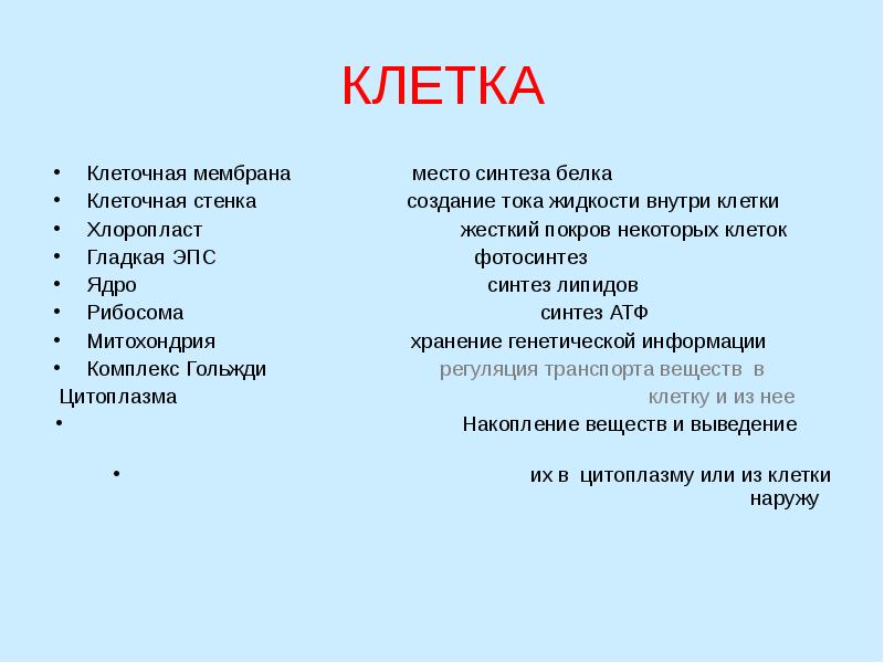 КЛЕТКА Клеточная мембрана        