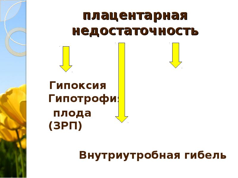 Плацентарная недостаточность презентация