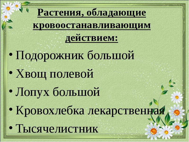 Лекарственные растения обладающие кровоостанавливающим действием презентация