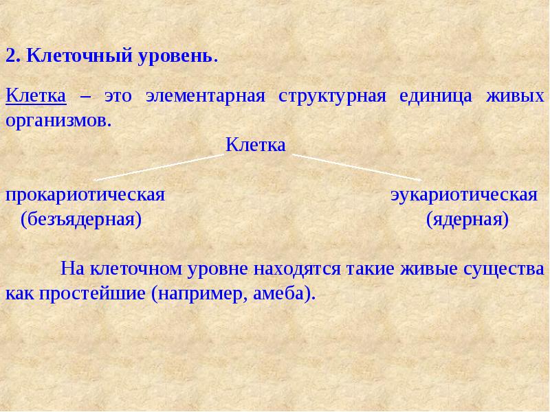 Общая характеристика жизни