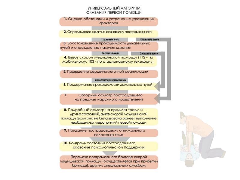 Универсальный алгоритм оказания первой помощи в картинках