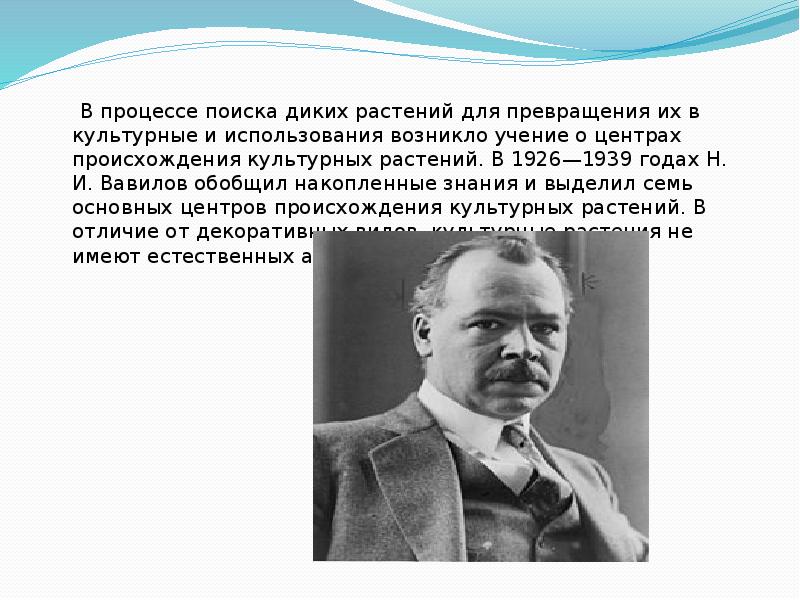 В процессе поиска диких растений для превращения их в культурные и